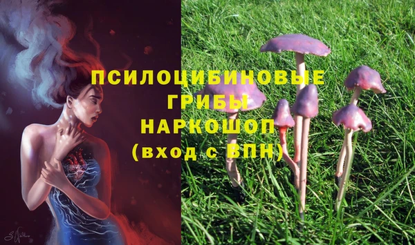 марки lsd Кодинск