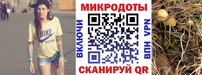 Купить где  Усть-Лабинск  Галлюциногенные грибы MAGIC MUSHROOMS 
